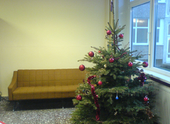 Tannenbaum in der Jura-Fakultät der Universität Rostock