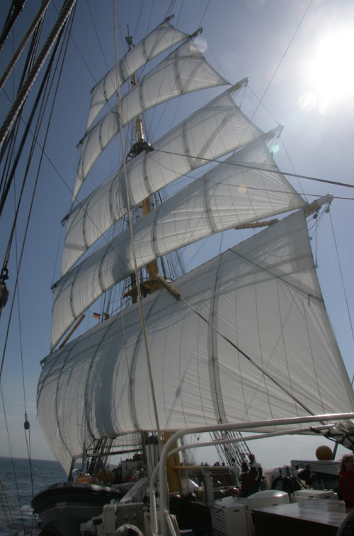 Segel der Gorch Fock im Wind