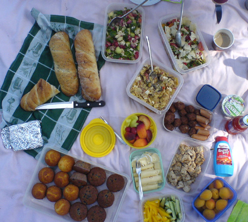 Picknickdecke mit diversen Schüsseln und Tellern voll Obst, Kuchen, Fleisch und Salaten