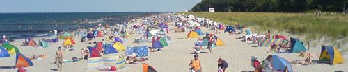 Bunte Strandmuscheln als Sonnenschutz dicht an dicht am Strand