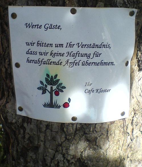 Warnschild an einem Baum vor herabfallenden Äpfeln: “Wir bitten um ihr Verständnis, dass wir keine Haftung für herabfallende Äpfel übernehmen.”