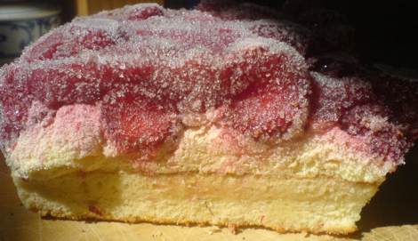 erdbeerkuchen_gefroren