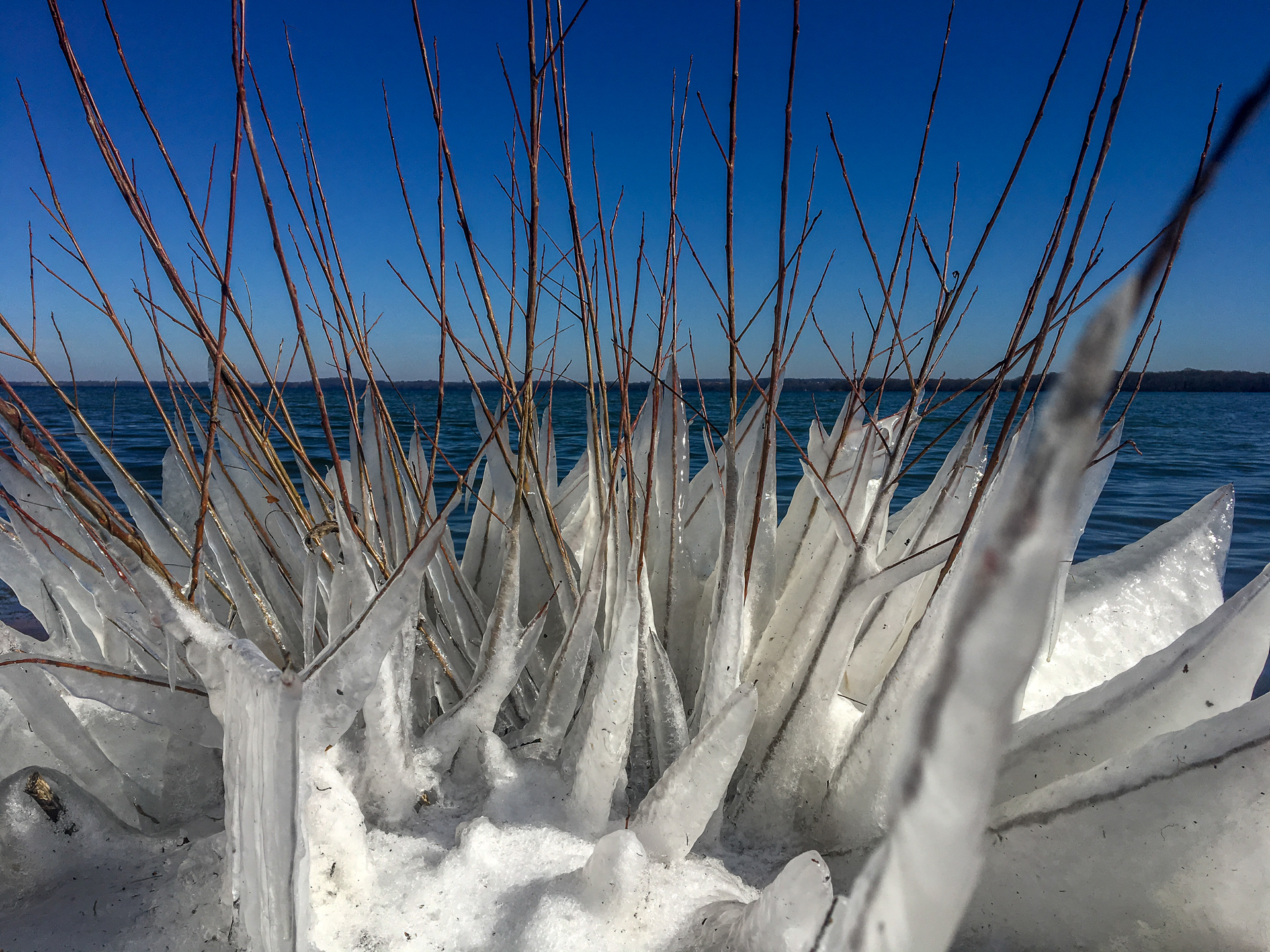 Weiße Eisformen spannen zwischen Zweigen.