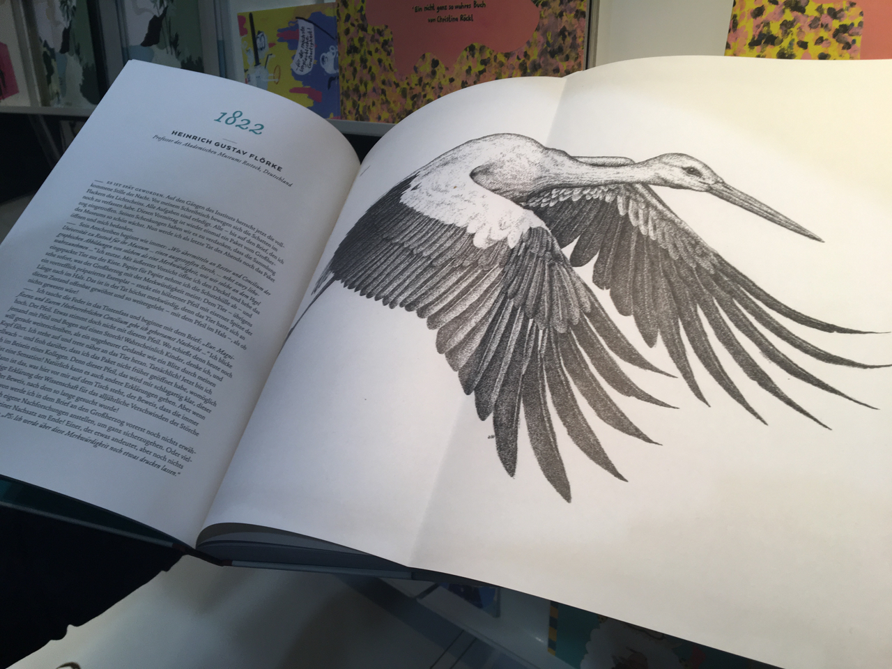 Ausklappbare Buchseite mit gezeichnetem Storch.