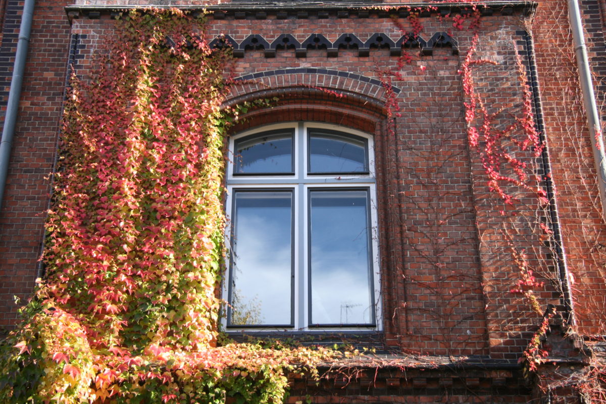 Wolken spiegeln sich im Fenster an der Ziegelfassade des Katharineums zu Lübeck.