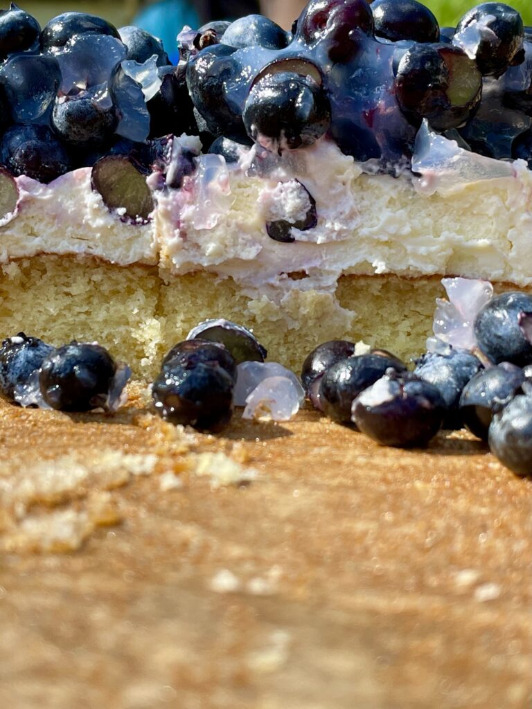 Ein Kuchen mit goldgelbem Boden, darauf eine weiße Creme und Blaubeeren.
