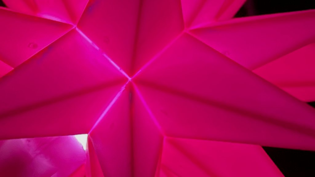 Nahaufnahme eines pink leuchtenden Weihnachtssterns.