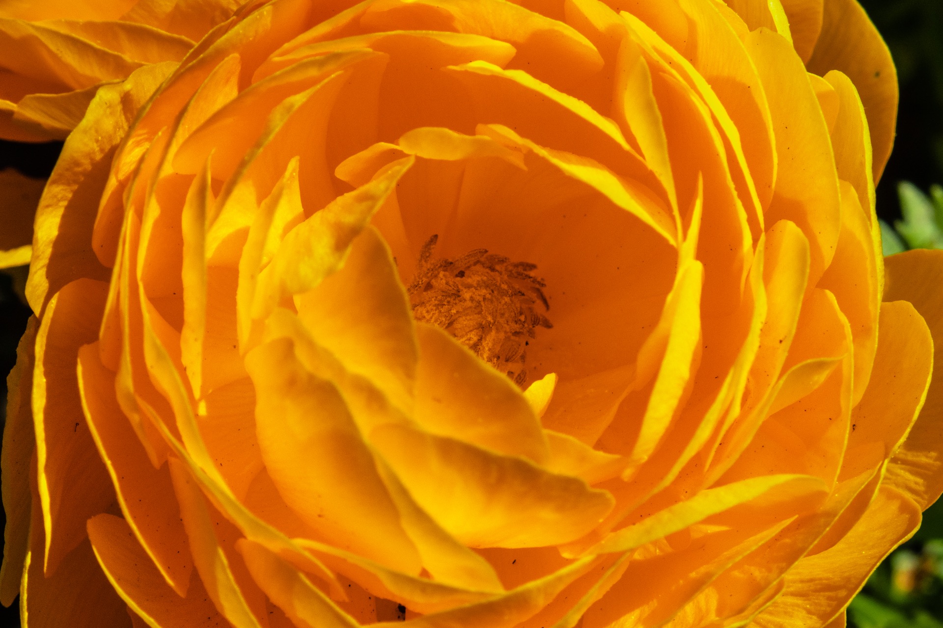 2019-10-12-Blüten.jpg