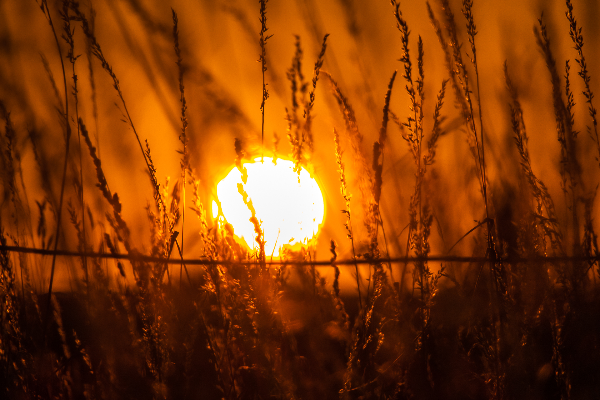 2018-07-07-Sonnenuntergang2.jpg